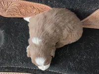 processed/b72c799c-7035-4947-a0fe-b5edd27f6c64/listing/ffb78905-5657-40b9-b4a2-8c7fe9516598/4a256c26-ee72-493e-9e6e-0bb17d9d4db9