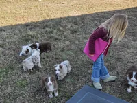 processed/b72c799c-7035-4947-a0fe-b5edd27f6c64/listing/ffb78905-5657-40b9-b4a2-8c7fe9516598/6460ca07-e12a-41c6-b51c-da528837360b