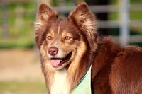 processed/b72c799c-7035-4947-a0fe-b5edd27f6c64/listing/ffb78905-5657-40b9-b4a2-8c7fe9516598/acb92847-16a0-4c4f-911c-9b5fee366dc3