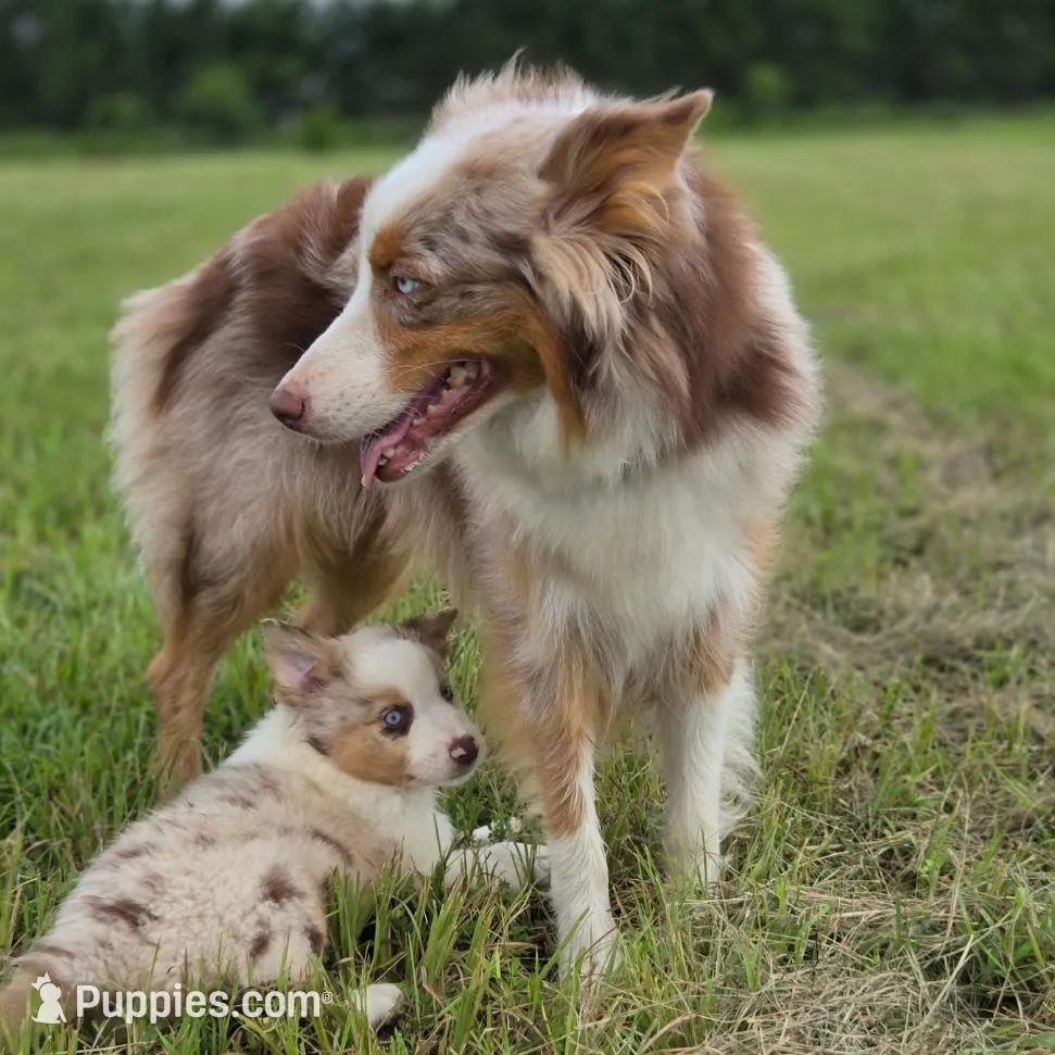 processed/b72c799c-7035-4947-a0fe-b5edd27f6c64/listing/ffb78905-5657-40b9-b4a2-8c7fe9516598/c13b1f53-f2e4-4d98-b628-3a228d1f7815