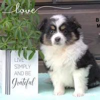 processed/b7301a16-290a-4c05-b18a-d9fc9a3397ba/listing/4867abd5-fbd7-4ea9-ba59-575a1403ade9/0dfe6c68-49fc-415c-935d-eca85377a21a