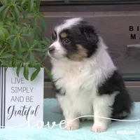 processed/b7301a16-290a-4c05-b18a-d9fc9a3397ba/listing/4867abd5-fbd7-4ea9-ba59-575a1403ade9/557d34ed-1ead-4faa-b601-fc6e84365db7