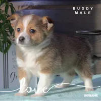 processed/b7301a16-290a-4c05-b18a-d9fc9a3397ba/listing/cc3b6499-6b9d-4257-8d04-eb2a48156453/7c3f0018-b87c-4b06-a02c-09f73b3cc9d6