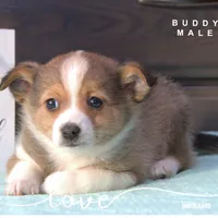 processed/b7301a16-290a-4c05-b18a-d9fc9a3397ba/listing/cc3b6499-6b9d-4257-8d04-eb2a48156453/87c9e8a1-7a8f-422a-83c3-d1fe00cac845