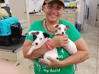 processed/b734aa30-a7ee-430c-b6e4-50874e19336a/facility/21cf8d8d-8076-492b-9ded-681103823205