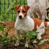 processed/b734aa30-a7ee-430c-b6e4-50874e19336a/facility/3b2d991c-c519-4262-bba8-33f45447ca3c