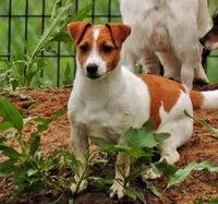 processed/b734aa30-a7ee-430c-b6e4-50874e19336a/facility/3b2d991c-c519-4262-bba8-33f45447ca3c