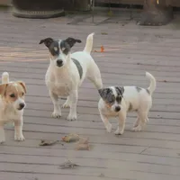 processed/b734aa30-a7ee-430c-b6e4-50874e19336a/facility/41d985ff-ed24-4dd9-bb15-ea75cb6b5fa2