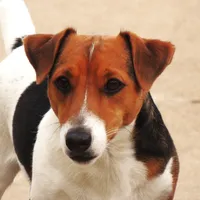 processed/b734aa30-a7ee-430c-b6e4-50874e19336a/facility/b8ce6ac4-0b65-4f1a-8297-6d779636cfd5