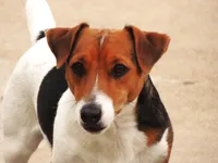 processed/b734aa30-a7ee-430c-b6e4-50874e19336a/facility/b8ce6ac4-0b65-4f1a-8297-6d779636cfd5