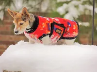 processed/b734aa30-a7ee-430c-b6e4-50874e19336a/facility/bc62ca48-cdd7-4c0f-a20b-fd76af54839e