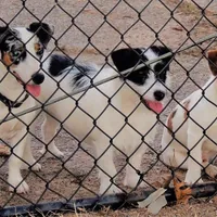 processed/b734aa30-a7ee-430c-b6e4-50874e19336a/facility/bd260248-7029-4258-975c-529dee72f06c