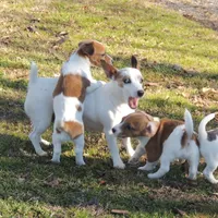 processed/b734aa30-a7ee-430c-b6e4-50874e19336a/facility/cde24aed-7eac-4d3e-9b9f-a99d61c666f7