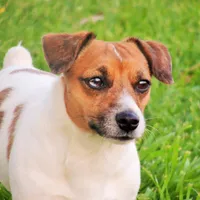 processed/b734aa30-a7ee-430c-b6e4-50874e19336a/facility/d53a73d2-28ab-49c2-ace2-e76dc92204eb