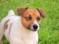 processed/b734aa30-a7ee-430c-b6e4-50874e19336a/facility/d53a73d2-28ab-49c2-ace2-e76dc92204eb