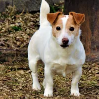 processed/b734aa30-a7ee-430c-b6e4-50874e19336a/facility/de4ddcea-182b-4721-ba01-4e1aed77deb1