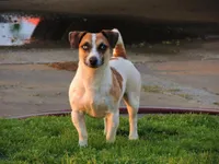 processed/b734aa30-a7ee-430c-b6e4-50874e19336a/listing/340dc1ee-5dfb-42c2-8e50-bf3fc19ae863/0b516486-14f3-400c-b7fb-cb563e41a7c8