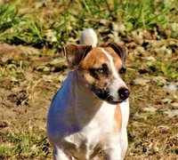 processed/b734aa30-a7ee-430c-b6e4-50874e19336a/listing/340dc1ee-5dfb-42c2-8e50-bf3fc19ae863/47ffe4bd-5d0b-49e2-977a-4c19812e4884