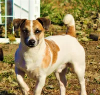 processed/b734aa30-a7ee-430c-b6e4-50874e19336a/listing/340dc1ee-5dfb-42c2-8e50-bf3fc19ae863/e022ac28-055a-435b-a887-59801d774100