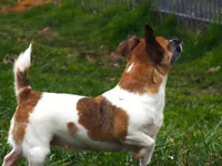 processed/b734aa30-a7ee-430c-b6e4-50874e19336a/listing/3cca66be-3afb-48f9-87a0-274a72f5f75b/32f91157-160b-4cc4-979e-3a7abc287767