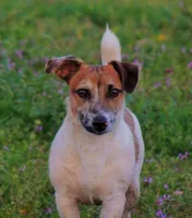 processed/b734aa30-a7ee-430c-b6e4-50874e19336a/listing/420eb848-dd3a-4c28-9eba-694e54f1174d/4b7ce8e3-47cc-4225-9bcd-ab683b5197f5