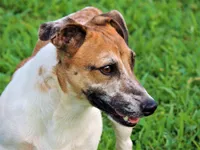 processed/b734aa30-a7ee-430c-b6e4-50874e19336a/listing/420eb848-dd3a-4c28-9eba-694e54f1174d/5e6b69e2-efb4-414e-80c8-894a84108043