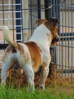 processed/b734aa30-a7ee-430c-b6e4-50874e19336a/listing/420eb848-dd3a-4c28-9eba-694e54f1174d/6df7b14d-c1f6-4221-8eec-ca2a0df67129