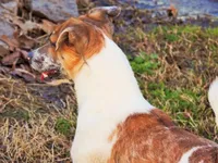 processed/b734aa30-a7ee-430c-b6e4-50874e19336a/listing/420eb848-dd3a-4c28-9eba-694e54f1174d/7fb2127c-a21e-4b6d-9ae1-7f411512c3a9