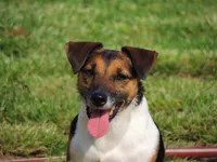 processed/b734aa30-a7ee-430c-b6e4-50874e19336a/listing/45f8e0d4-2c21-4819-bf1d-c223a9de776e/295d6999-955c-4b20-b2a7-1164f4ac6c0e