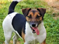 processed/b734aa30-a7ee-430c-b6e4-50874e19336a/listing/45f8e0d4-2c21-4819-bf1d-c223a9de776e/7e5d5600-8d4f-4332-82d5-4b979233dc84