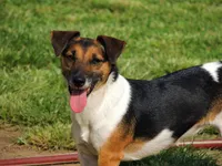 processed/b734aa30-a7ee-430c-b6e4-50874e19336a/listing/45f8e0d4-2c21-4819-bf1d-c223a9de776e/b26507fb-026e-427d-aede-d433e647831d