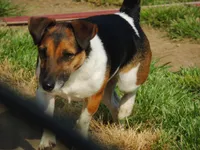 processed/b734aa30-a7ee-430c-b6e4-50874e19336a/listing/45f8e0d4-2c21-4819-bf1d-c223a9de776e/d3396d45-f645-4e81-8de6-d38349f0c9a1