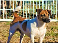 processed/b734aa30-a7ee-430c-b6e4-50874e19336a/listing/78572cd9-e66c-4b01-b71f-bd41938944f3/bfa18759-438e-49de-a58c-4e5243387712