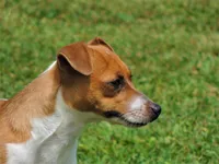 processed/b734aa30-a7ee-430c-b6e4-50874e19336a/listing/be1398e8-b69f-42a6-85cf-dd73487e5c6e/2657f439-9f36-45ab-9ea4-274ac1b0930e