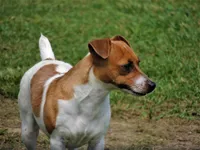 processed/b734aa30-a7ee-430c-b6e4-50874e19336a/listing/be1398e8-b69f-42a6-85cf-dd73487e5c6e/4241f46a-8092-47d4-9326-8ff3c03de929