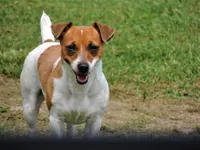 processed/b734aa30-a7ee-430c-b6e4-50874e19336a/listing/be1398e8-b69f-42a6-85cf-dd73487e5c6e/534fb68e-0b05-4a4d-b96b-bcac38f67b8f