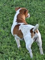 processed/b734aa30-a7ee-430c-b6e4-50874e19336a/listing/be1398e8-b69f-42a6-85cf-dd73487e5c6e/cd7de362-e2f4-4c85-8198-0b289c67a35f