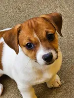 processed/b734aa30-a7ee-430c-b6e4-50874e19336a/listing/ef54f969-a831-4352-96c3-74b5238bcf63/56ff2d0e-11d5-4f7a-bb97-ed79634cbda1