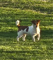 processed/b734aa30-a7ee-430c-b6e4-50874e19336a/listing/ef54f969-a831-4352-96c3-74b5238bcf63/bfc3753e-d4d3-460d-b4d7-ede19031ba6f