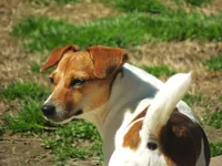 processed/b734aa30-a7ee-430c-b6e4-50874e19336a/listing/ef54f969-a831-4352-96c3-74b5238bcf63/d46d085e-4c52-4436-9a5f-7a4a4b69eaba