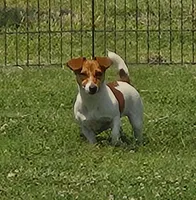 processed/b734aa30-a7ee-430c-b6e4-50874e19336a/listing/ef54f969-a831-4352-96c3-74b5238bcf63/d5e7288f-f66f-43a7-8196-abd404501853