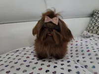 processed/b73ab2ff-11d8-4dac-934e-a87cad80fc02/facility/30abaaea-16f1-445f-871a-b0a89f76ca0e