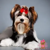 processed/b73ab2ff-11d8-4dac-934e-a87cad80fc02/facility/8e18830b-532e-497f-bb8d-a48a935e7cf1