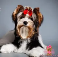 processed/b73ab2ff-11d8-4dac-934e-a87cad80fc02/facility/8e18830b-532e-497f-bb8d-a48a935e7cf1