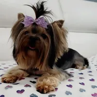 processed/b73ab2ff-11d8-4dac-934e-a87cad80fc02/facility/c392256e-efd8-4a99-9519-a50cd876b0c7