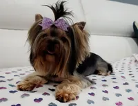 processed/b73ab2ff-11d8-4dac-934e-a87cad80fc02/facility/c392256e-efd8-4a99-9519-a50cd876b0c7