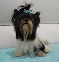 processed/b73ab2ff-11d8-4dac-934e-a87cad80fc02/facility/ef59ea83-683c-4ce2-98d7-bef2c64103ad