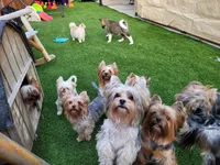 processed/b73ab2ff-11d8-4dac-934e-a87cad80fc02/facility/f692c6e2-8c20-4fcf-936f-296a81310d95