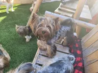 processed/b73ab2ff-11d8-4dac-934e-a87cad80fc02/facility/fe3814c4-4eb2-4907-a3d5-8de920a19ce1