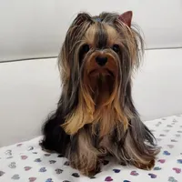 processed/b73ab2ff-11d8-4dac-934e-a87cad80fc02/facility/ffa14ef5-3640-4b59-af32-ff06dad60216